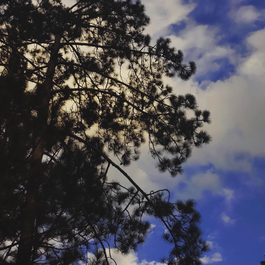 Breathe Inn Kasol Buitenkant foto